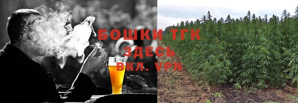 винт Алексин